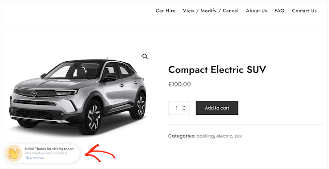 Showing social proof on your car rental website