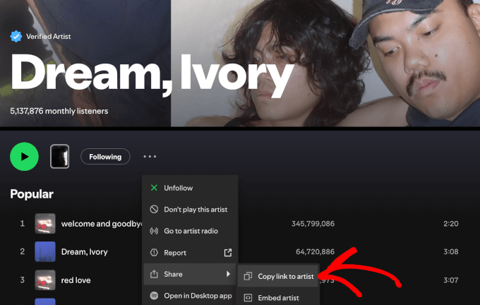 The Copy link to artist button