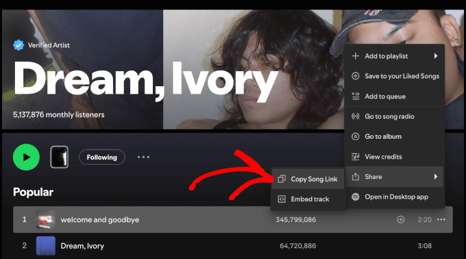 The Copy Song Link button