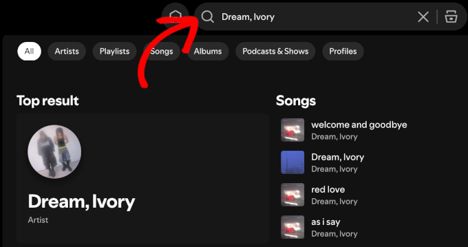 Using Spotify search feature
