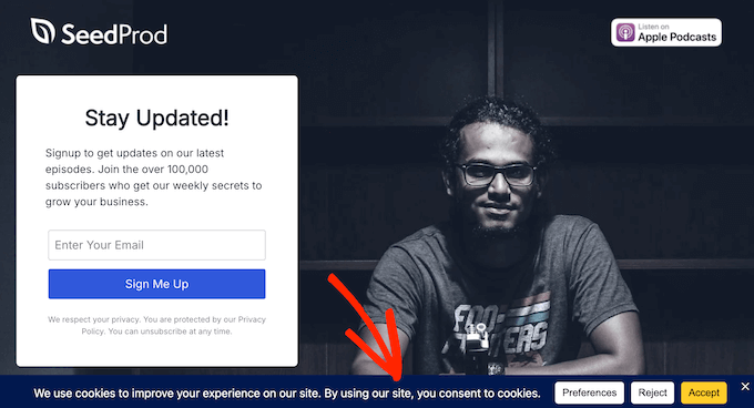 An example of a cookie consent banner, created using WPConsent