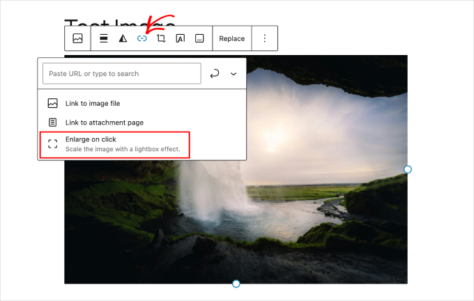 WP Block Editor image expand on click option