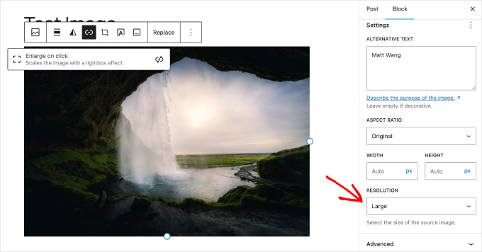 WP Block Editor image resolution settings