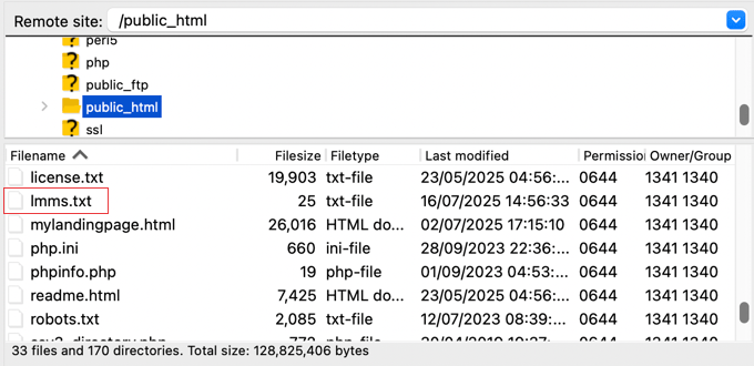 Uploading LMMs.txt Using FTP